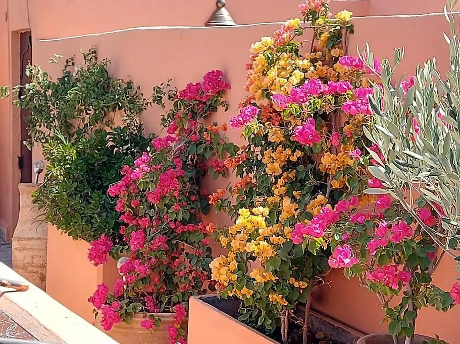 Riad Sophora - Peaceful Heaven In Marrakech Marrakesh
